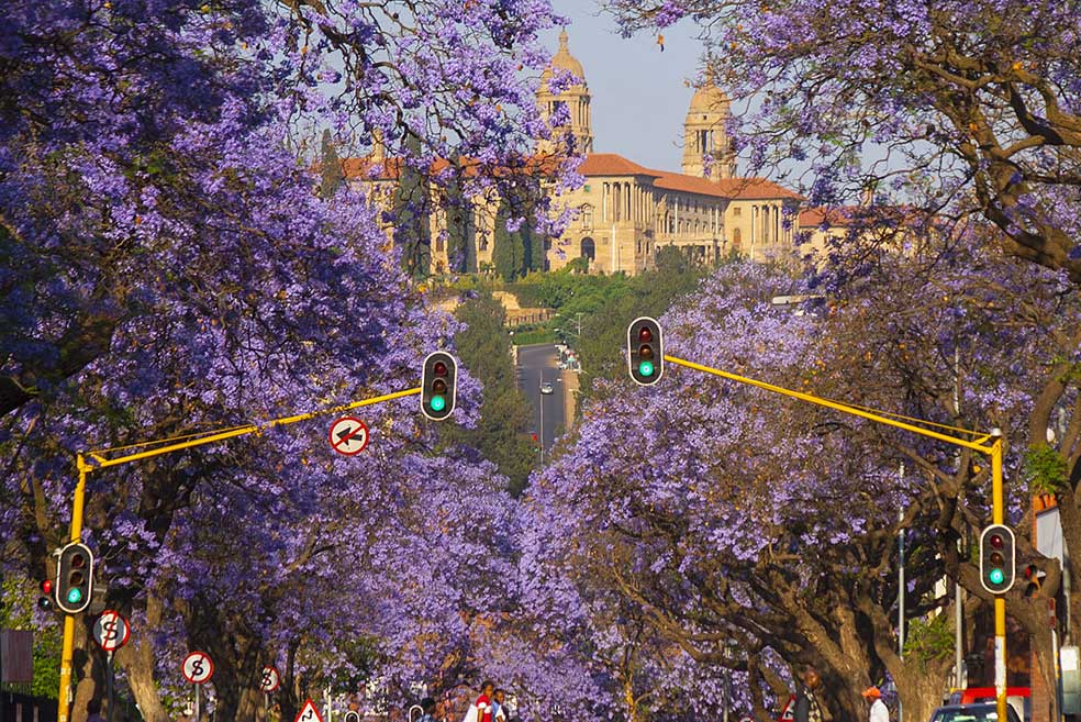  Ndila Transfers Pretoria Offices